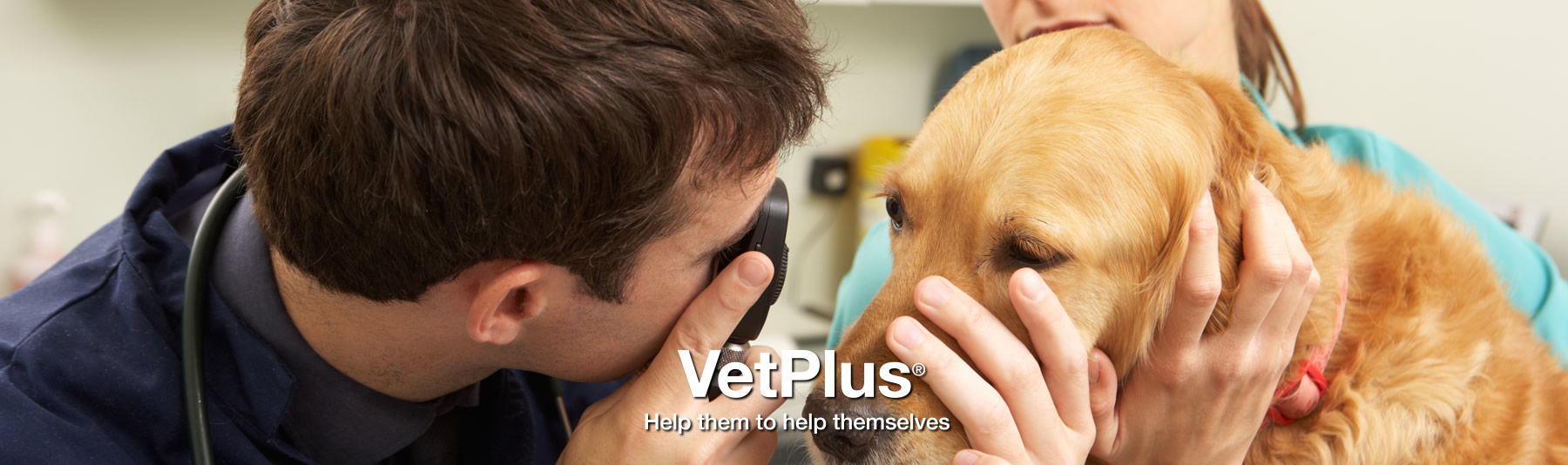 vetplusbanner Tangerine Group